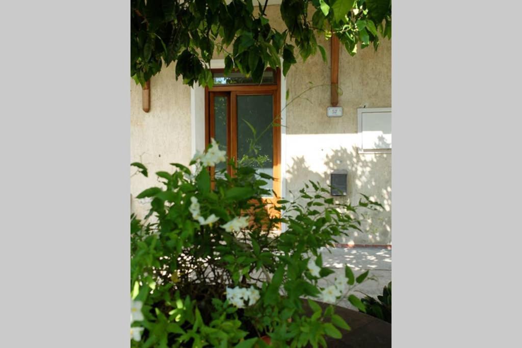 La Casina Di Bruna Mommio Exterior photo